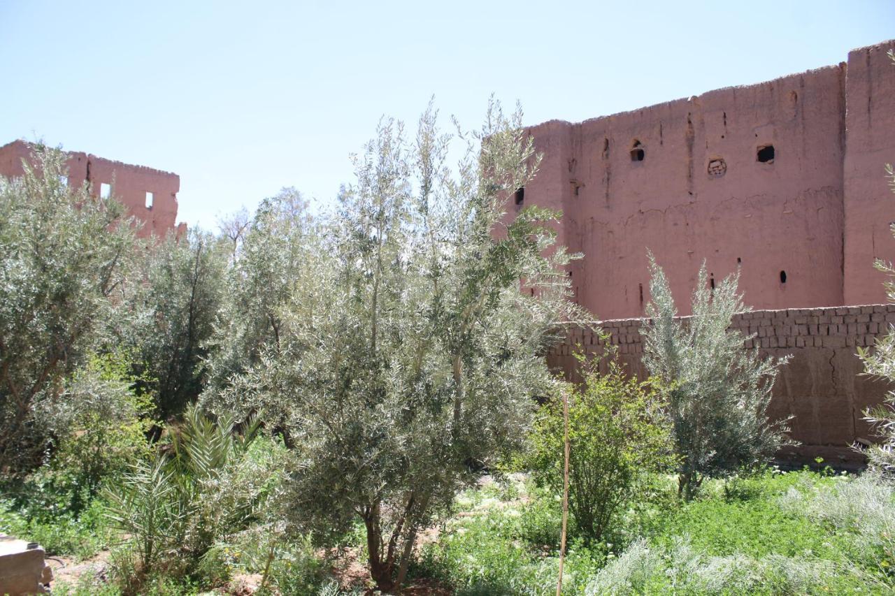 Gite Ait Lmaalam Chez Ahmed 斯库拉 外观 照片