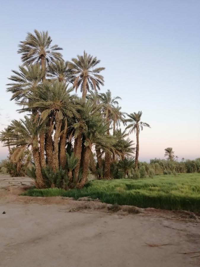 Gite Ait Lmaalam Chez Ahmed 斯库拉 外观 照片